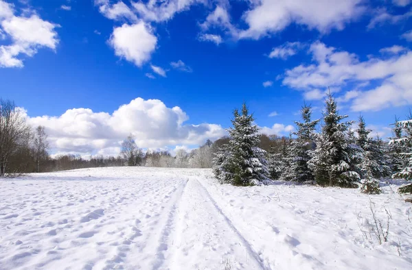 冬の風景 晴れた日の木々や雪に覆われたフィールド — ストック写真
