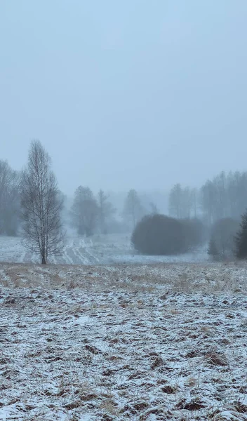 Zimní Krajina Stromy Zasněžená Pole — Stock fotografie