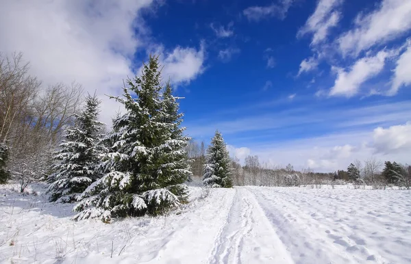 森林や雪に覆われたフィールドと冬の風景 — ストック写真