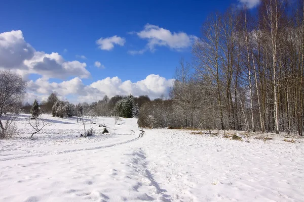 森林や雪に覆われたフィールドと冬の風景 — ストック写真