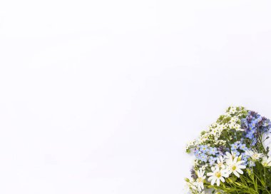 Beyaz kağıttan arka planda yabani mavi ve beyaz çiçekler. Mavi ve beyaz çiçekli 