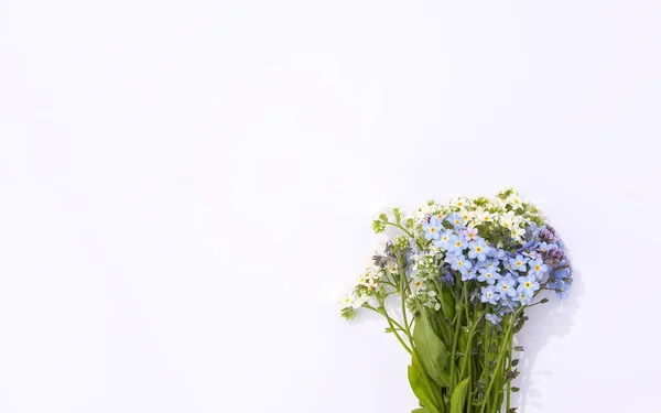 배경에는 담청색과 꽃들이 파란색과 식물은 마세요 포스터 디자인 — 스톡 사진