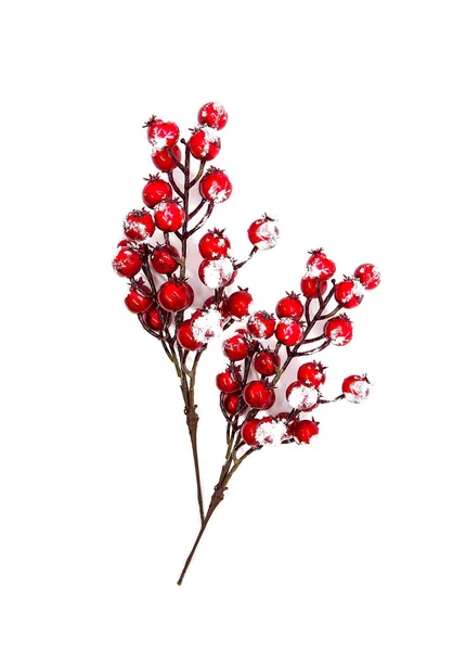 Εορταστική Πρωτοχρονιά Χριστούγεννα Φόντο Κόκκινα Μούρα Holly Φυτό Στο Χιόνι — Φωτογραφία Αρχείου