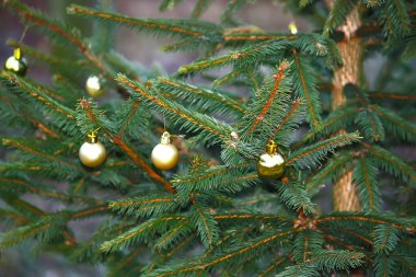Açık havada süslenmiş Noel ağacı dalları