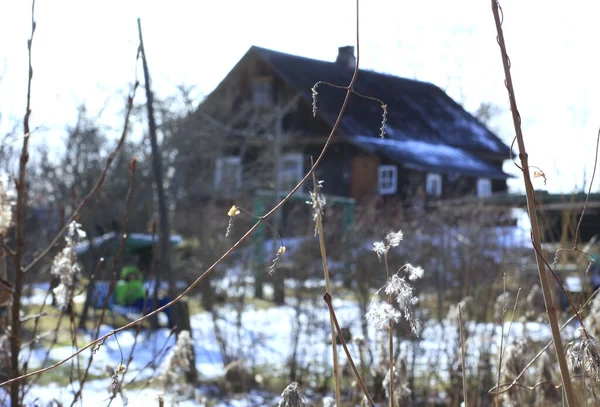 Hus Landet Bakom Torra Kala Växterna Vinterdagen — Stockfoto