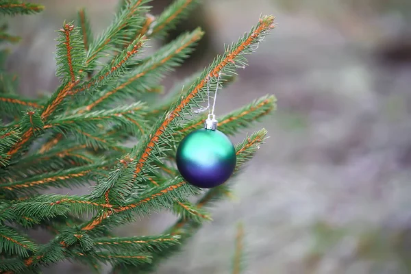 Geschmückter Weihnachtsbaum Freien — Stockfoto