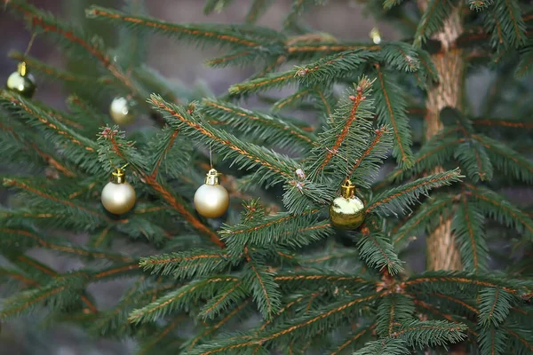 Rami Decorati Albero Natale All Aperto — Foto Stock