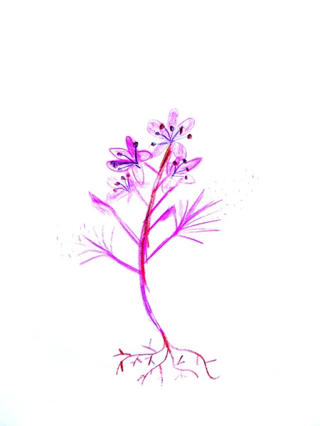 Rysunek Dziecka Papierze Kwiaty — Zdjęcie stockowe