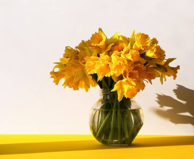 Güzel bir buket sarı narsisli çiçek ya da nergisler.