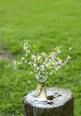 Açık havada cam bir vazoda vişne buketi