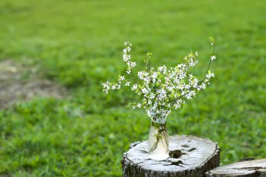 Açık havada cam bir vazoda vişne buketi