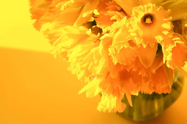 Hermoso Ramo Flores Narcisas Amarillas Primavera Narcisos Cerca — Foto de Stock
