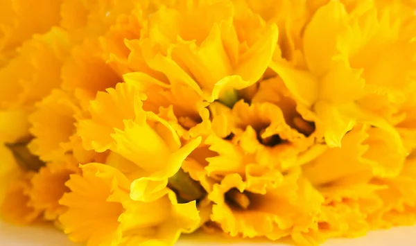 Schöner Strauß Frühlingshafter Gelber Narzissenblüten Oder Narzissen — Stockfoto
