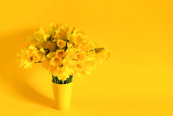 Beautiful bouquet of spring yellow narcissus flowers or daffodils on bright yellow background.