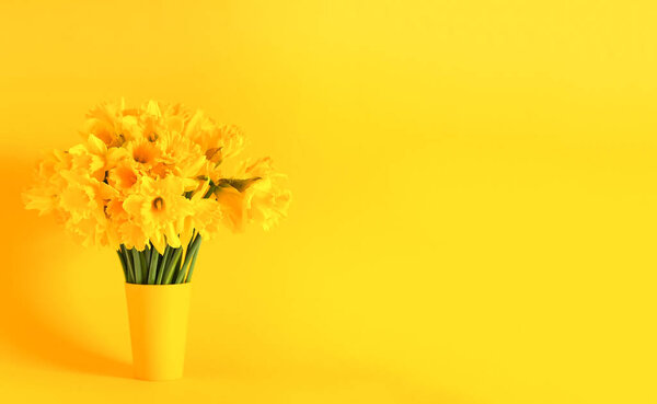 Beautiful bouquet of spring yellow narcissus flowers or daffodils on bright yellow background.