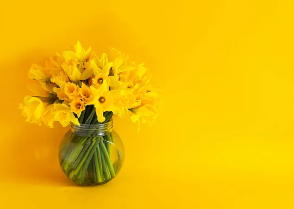 Όμορφο Μπουκέτο Από Ανοιξιάτικα Κίτρινα Άνθη Νάρκισσου Νάρκισσους Φωτεινό Κίτρινο — Φωτογραφία Αρχείου