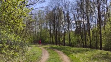 İlkbaharda bir orman yolunda yürüyen küçük bir kızın görüntüleri.  