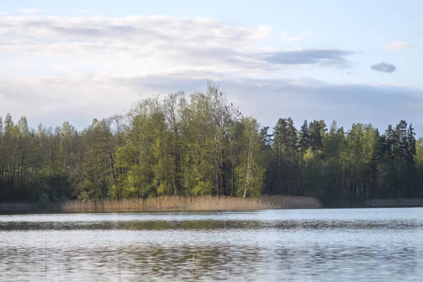 Lago Com Pequena Ilha Letônia Início Primavera — Fotografia de Stock