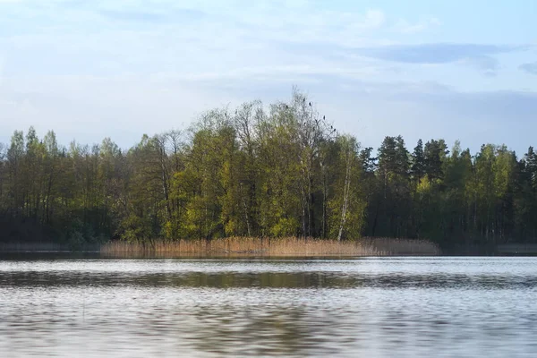 Lago Com Pequena Ilha Letônia Início Primavera — Fotografia de Stock