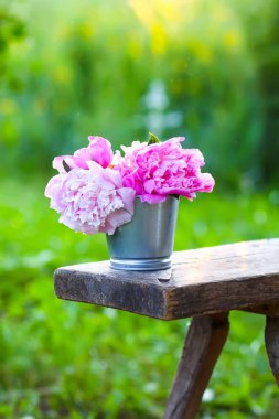 Yazın açık havada taze pembe şakayık çiçeklerinin güzel buketi.