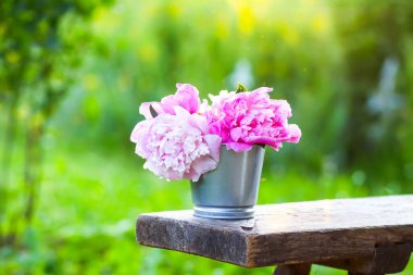 Yazın açık havada taze pembe şakayık çiçeklerinin güzel buketi.