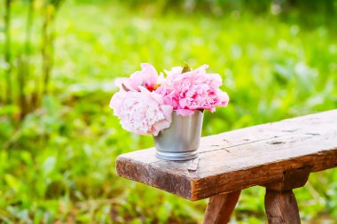 Güzel bir buket taze, pembe şakayık çiçekleri yaz günü ahşap bankta.