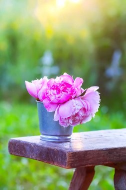 Yazın açık havada taze pembe şakayık çiçeklerinin güzel buketi.