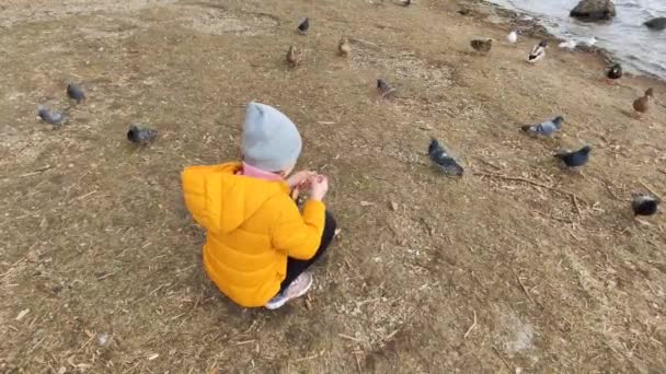 Footage Little Girl Feeding Birds Beach — Stock video