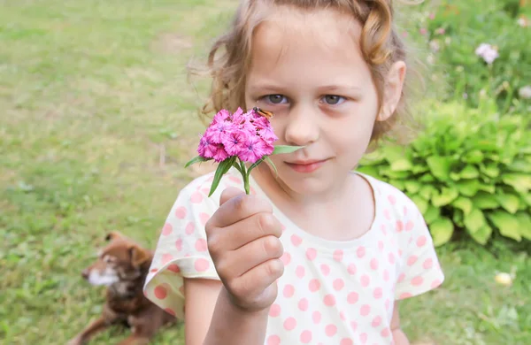 Chien Une Petite Fille Avec Des Fleurs Sur Cour Campagne — Photo