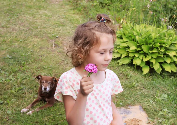 Chien Sympathique Petite Fille Avec Fleur Sur Cour Campagne Été — Photo