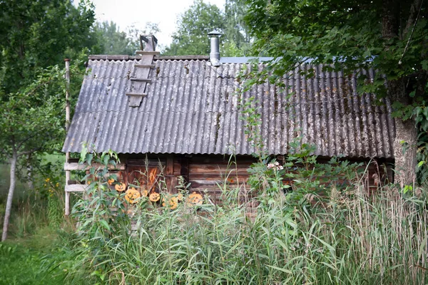 Прикраса Хелловін Відкритому Повітрі Паперова Гірлянда Милими Гарбузами Звисають Дерев — стокове фото