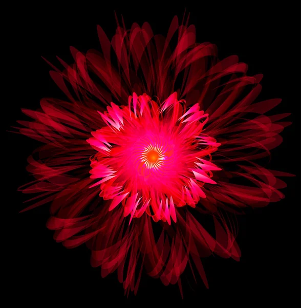 Fantástica flor vermelha — Vetor de Stock