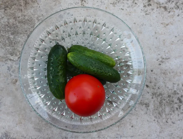 Čerstvá rajčata a okurky — Stock fotografie