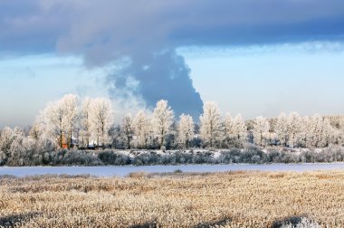 Güzel kış manzarası