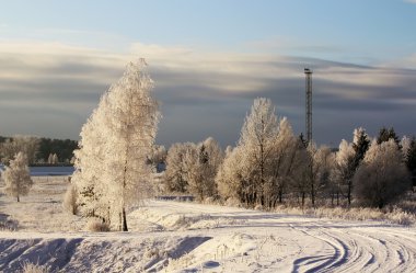 Güzel kış manzarası
