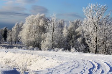 Güzel kış manzarası