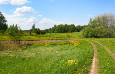 Yeşil ağaçlı yaz manzarası