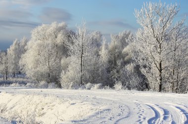 Güzel kış manzarası