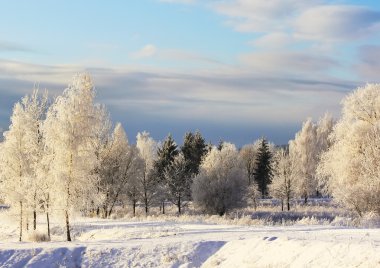 Güzel kış manzarası