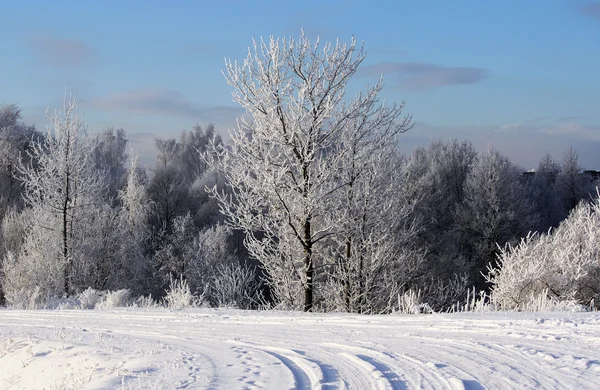 Prachtig winterlandschap — Stockfoto