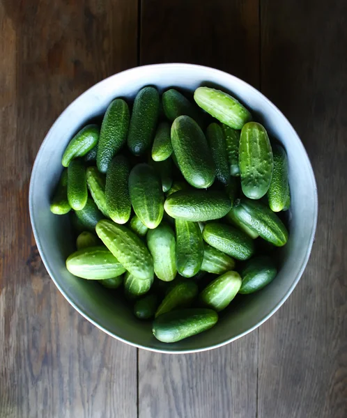 Pepinos verdes maduros — Fotografia de Stock