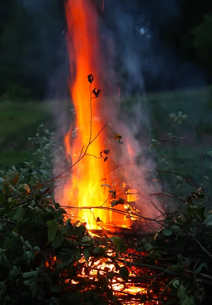 Μεγάλη φλόγα για πικνίκ — Φωτογραφία Αρχείου