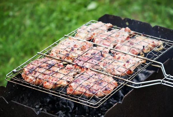 Carne grelhada na natureza — Fotografia de Stock