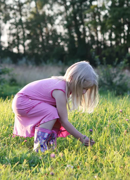 Little girl on a summer meadow — Stock Photo, Image