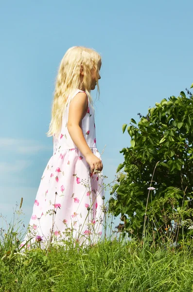 Petite fille sur une prairie d'été — Photo