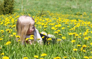 bir yaz çayır üzerinde küçük kız
