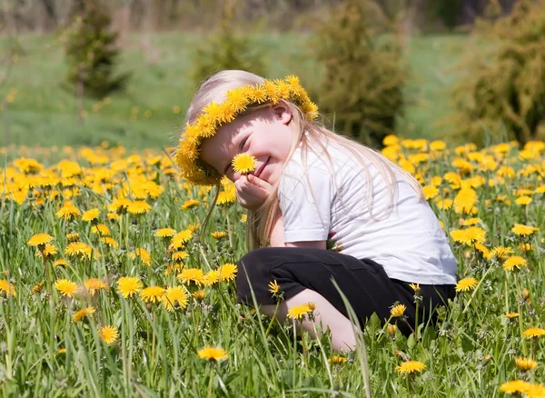 Kleines Mädchen auf einer Sommerwiese — Stockfoto