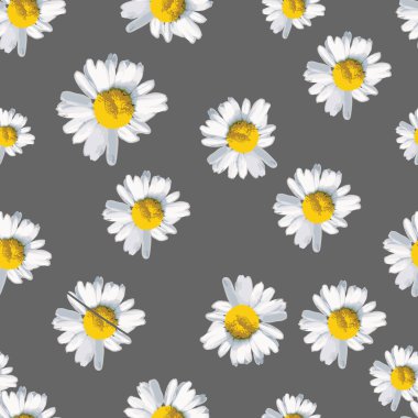 Kusursuz çiçek arkaplanı.