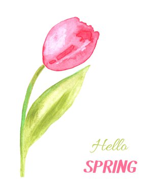 Lale çiçek bahar kartıyla