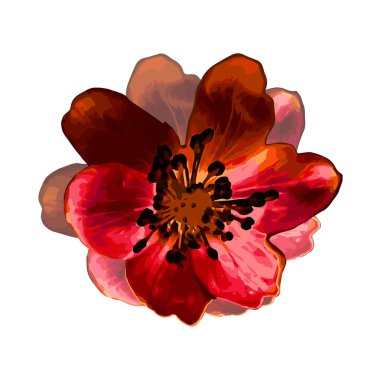 çiçek tasarım öğesi.